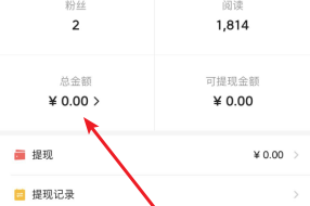 今天頭條怎樣檢查收益
