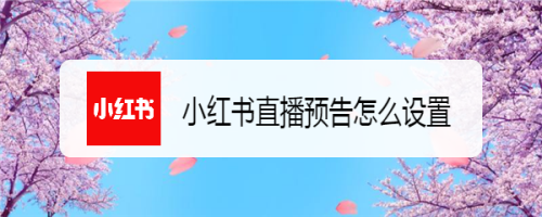 小紅書怎么發(fā)布直播預(yù)告