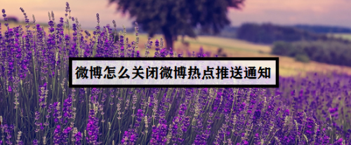 微博熱點(diǎn)推送怎么關(guān)閉