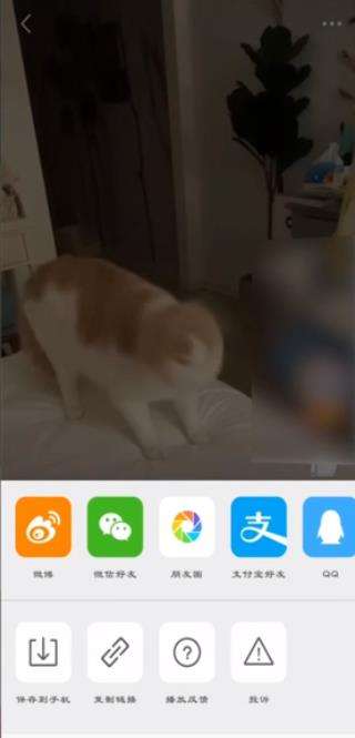 微博緩存的視頻怎么保存到手機