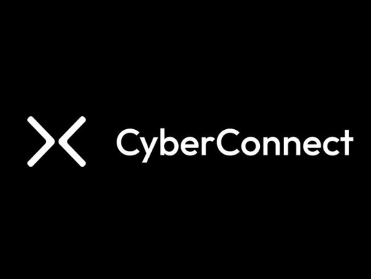 CYBER幣的發(fā)行價是多少？CYBER幣還能繼續(xù)上漲嗎？