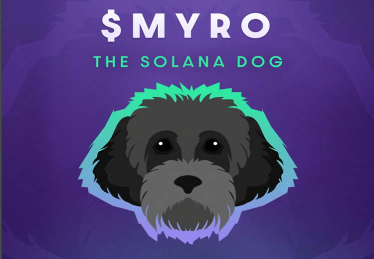 MYRO幣發(fā)行總量多少？有潛力嗎？