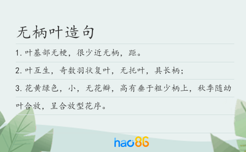 無(wú)柄葉造句
