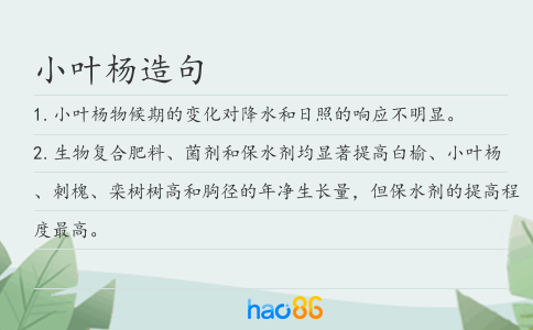 小葉楊造句