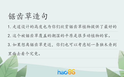 鋸齒草造句